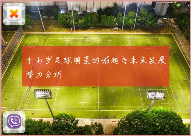 十七岁足球明星的崛起与未来发展潜力分析