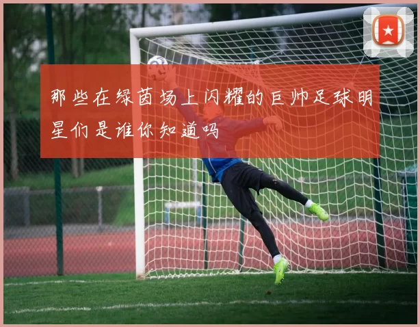 那些在绿茵场上闪耀的巨帅足球明星们是谁你知道吗