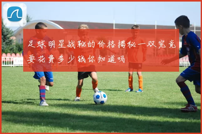 足球明星战靴的价格揭秘一双究竟要花费多少钱你知道吗