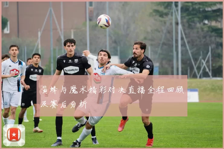 黄蜂与魔术精彩对决直播全程回顾及赛后分析