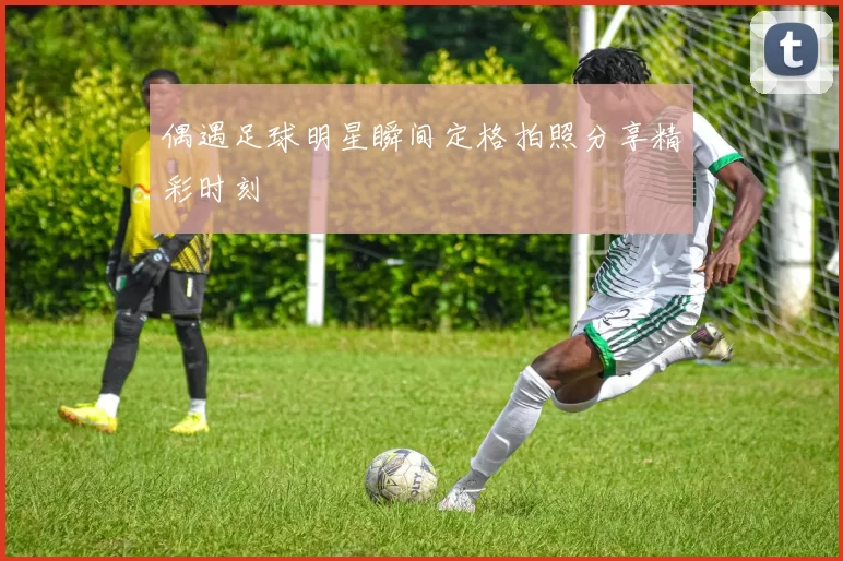 偶遇足球明星瞬间定格拍照分享精彩时刻