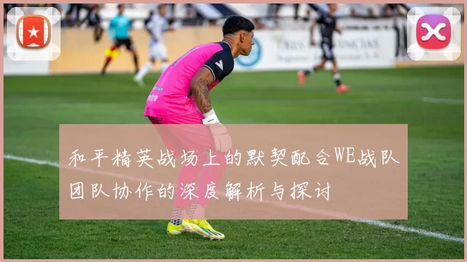 和平精英战场上的默契配合WE战队团队协作的深度解析与探讨