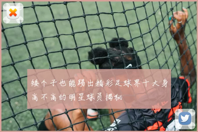 矮个子也能踢出精彩足球界十大身高不高的明星球员揭秘