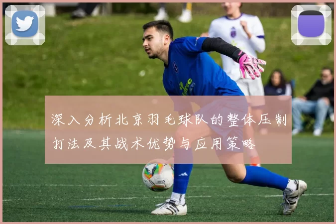 深入分析北京羽毛球队的整体压制打法及其战术优势与应用策略