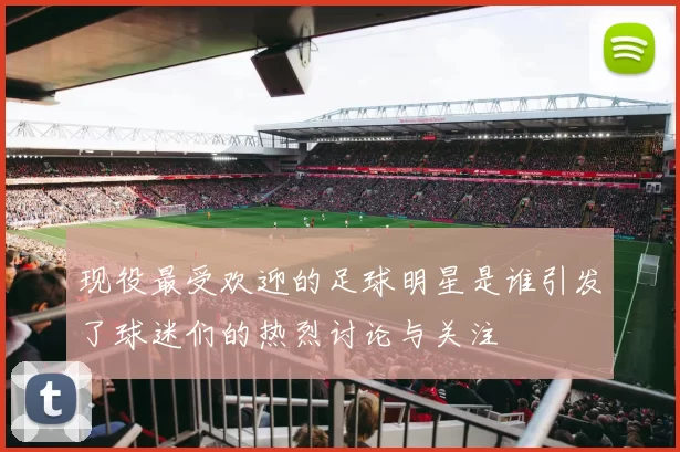现役最受欢迎的足球明星是谁引发了球迷们的热烈讨论与关注