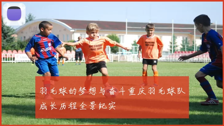 羽毛球的梦想与奋斗重庆羽毛球队成长历程全景纪实