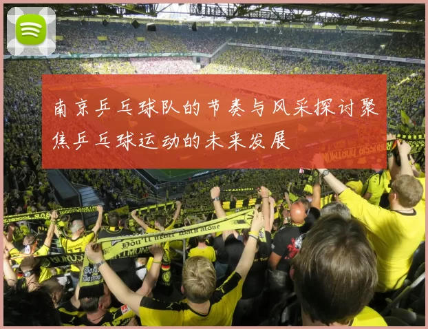 南京乒乓球队的节奏与风采探讨聚焦乒乓球运动的未来发展
