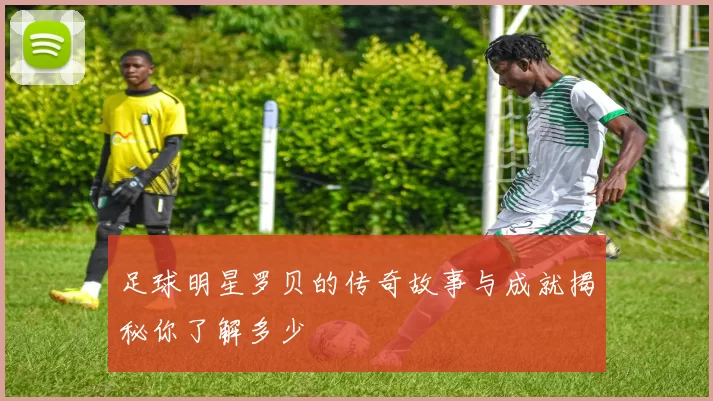 足球明星罗贝的传奇故事与成就揭秘你了解多少