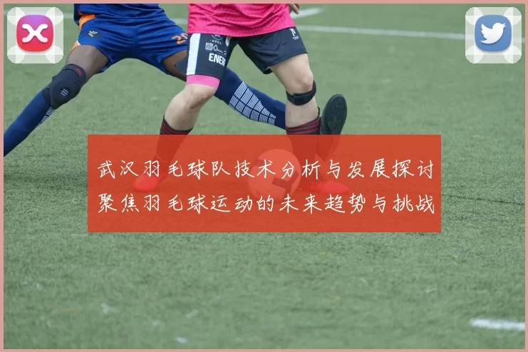 武汉羽毛球队技术分析与发展探讨聚焦羽毛球运动的未来趋势与挑战