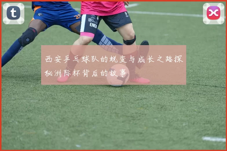 西安乒乓球队的蜕变与成长之路探秘洲际杯背后的故事