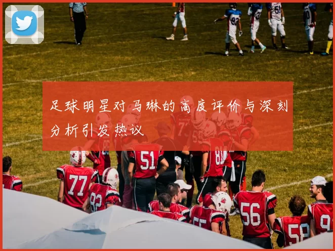 足球明星对马琳的高度评价与深刻分析引发热议