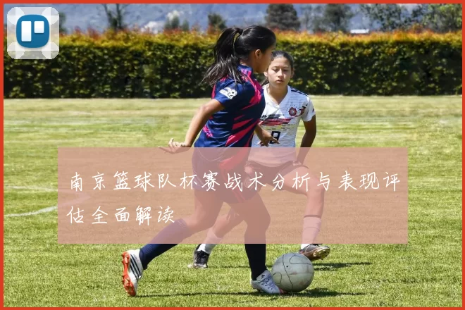 南京篮球队杯赛战术分析与表现评估全面解读