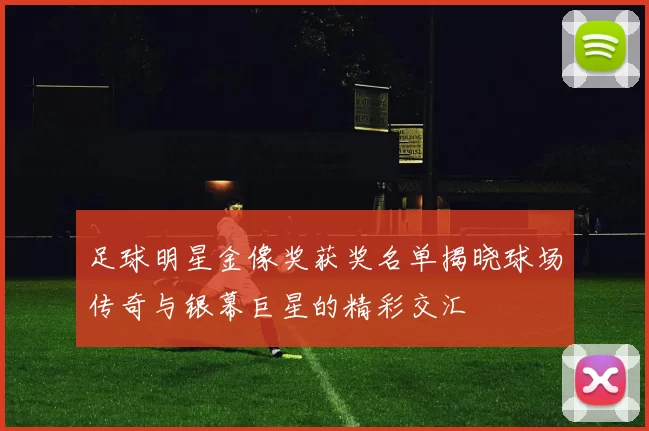 足球明星金像奖获奖名单揭晓球场传奇与银幕巨星的精彩交汇
