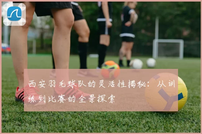 西安羽毛球队的灵活性揭秘：从训练到比赛的全景探索
