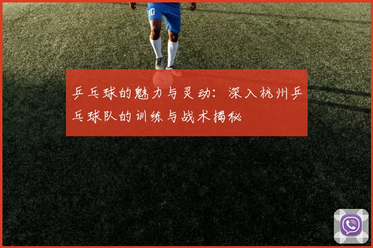 乒乓球的魅力与灵动：深入杭州乒乓球队的训练与战术揭秘