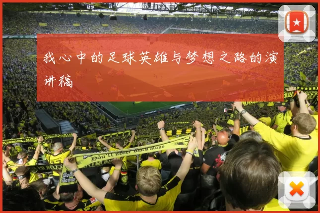 我心中的足球英雄与梦想之路的演讲稿