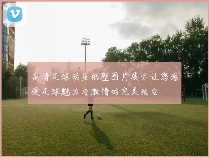 高清足球明星纸壁图片展示让您感受足球魅力与激情的完美结合