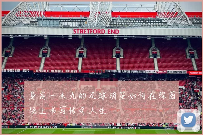 身高一米九的足球明星如何在绿茵场上书写传奇人生