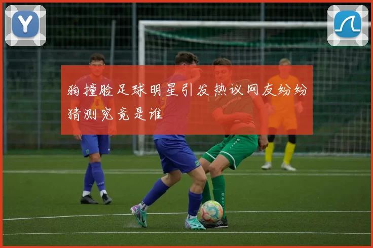 狗撞脸足球明星引发热议网友纷纷猜测究竟是谁